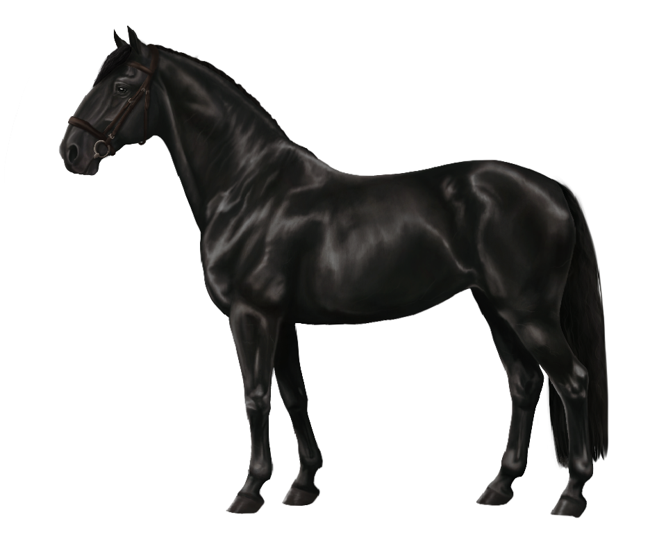 Thalvena